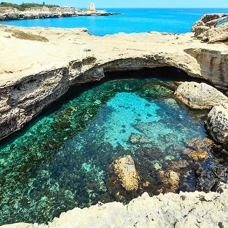 Apartment Due20house *